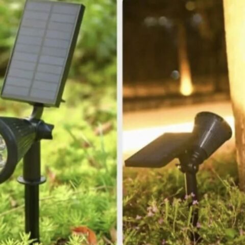 Solar Spot Light