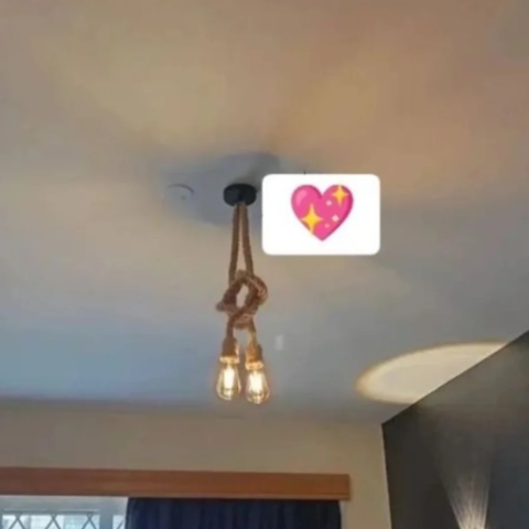 Twin rope light