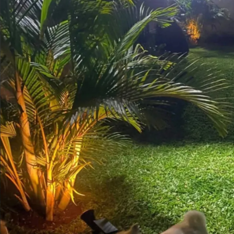 Solar Spot Light