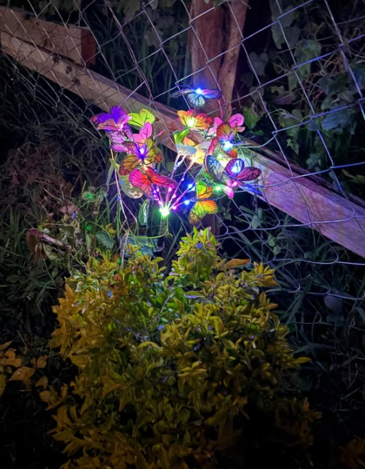 2pcs Solar Butterfly Garden lights