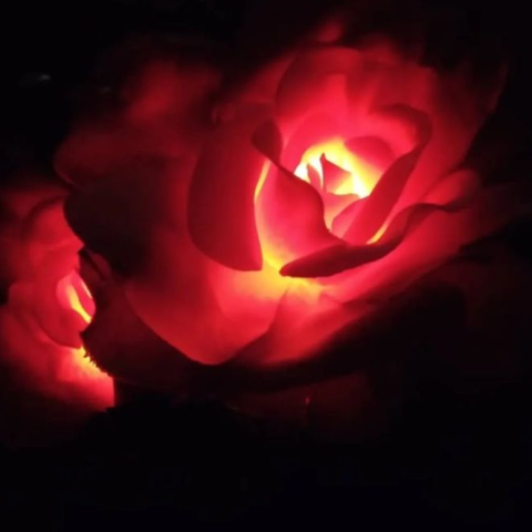2pcs Solar Rose Flower Garden Lights