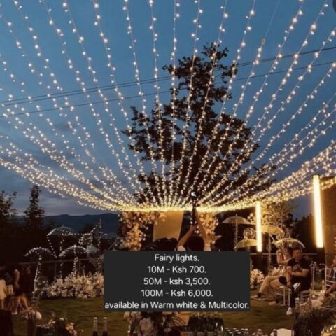 Electric Fairy Lights