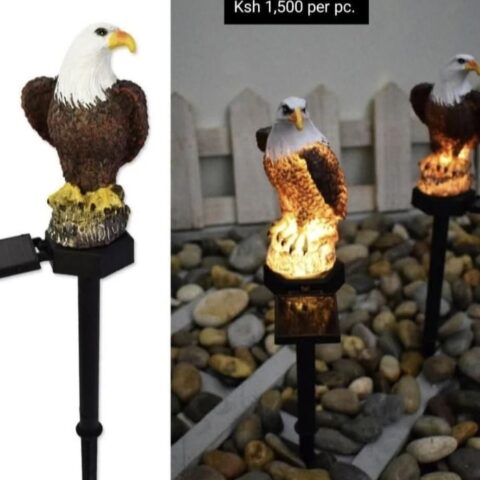Solar Eagle Light