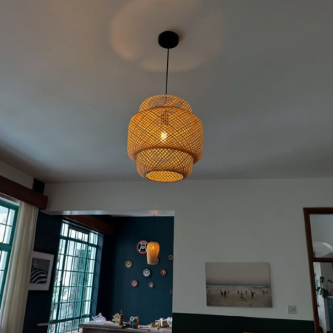 Bamboo Dome light