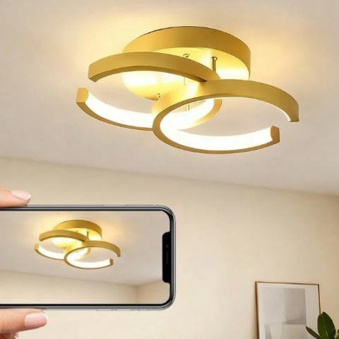 B24 Ceiling Light