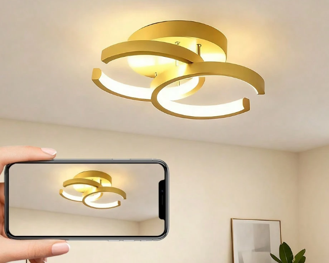 B24 Ceiling Light