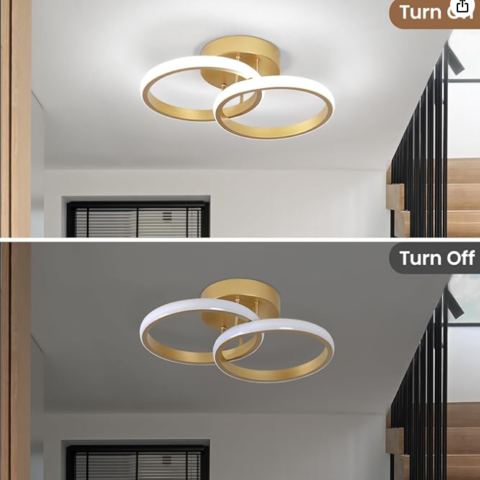B26 Ceiling Light